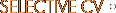 view cv
